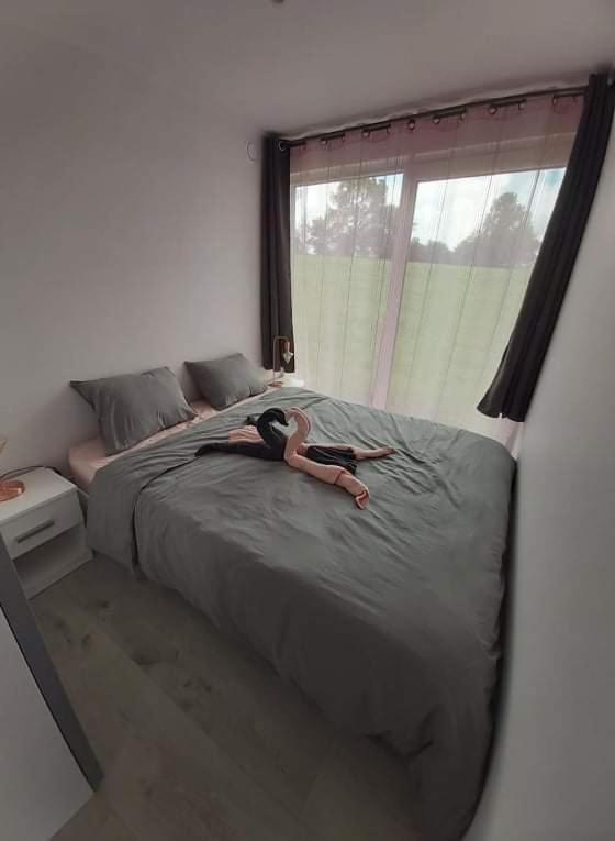 Le Diamanster Francorchamps Villa Stavelot Exteriör bild